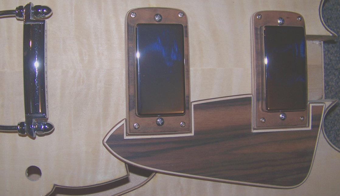 Pickups mounted with the pick guard and tail piece.