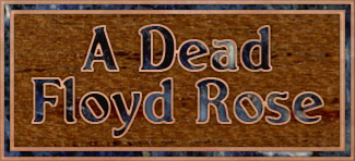 A dead Floyd Rose link